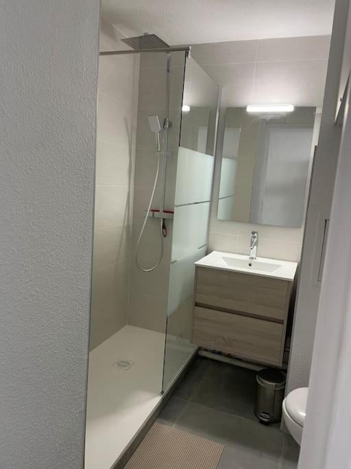 T2 Dans Jolie Avec Piscine Appartement Le Barcarès