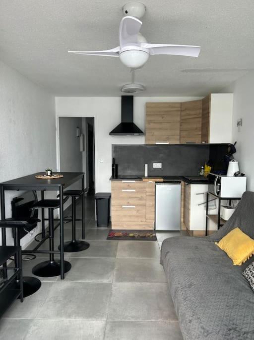 Appartement T2 Dans Jolie Avec Piscine Le Barcarès